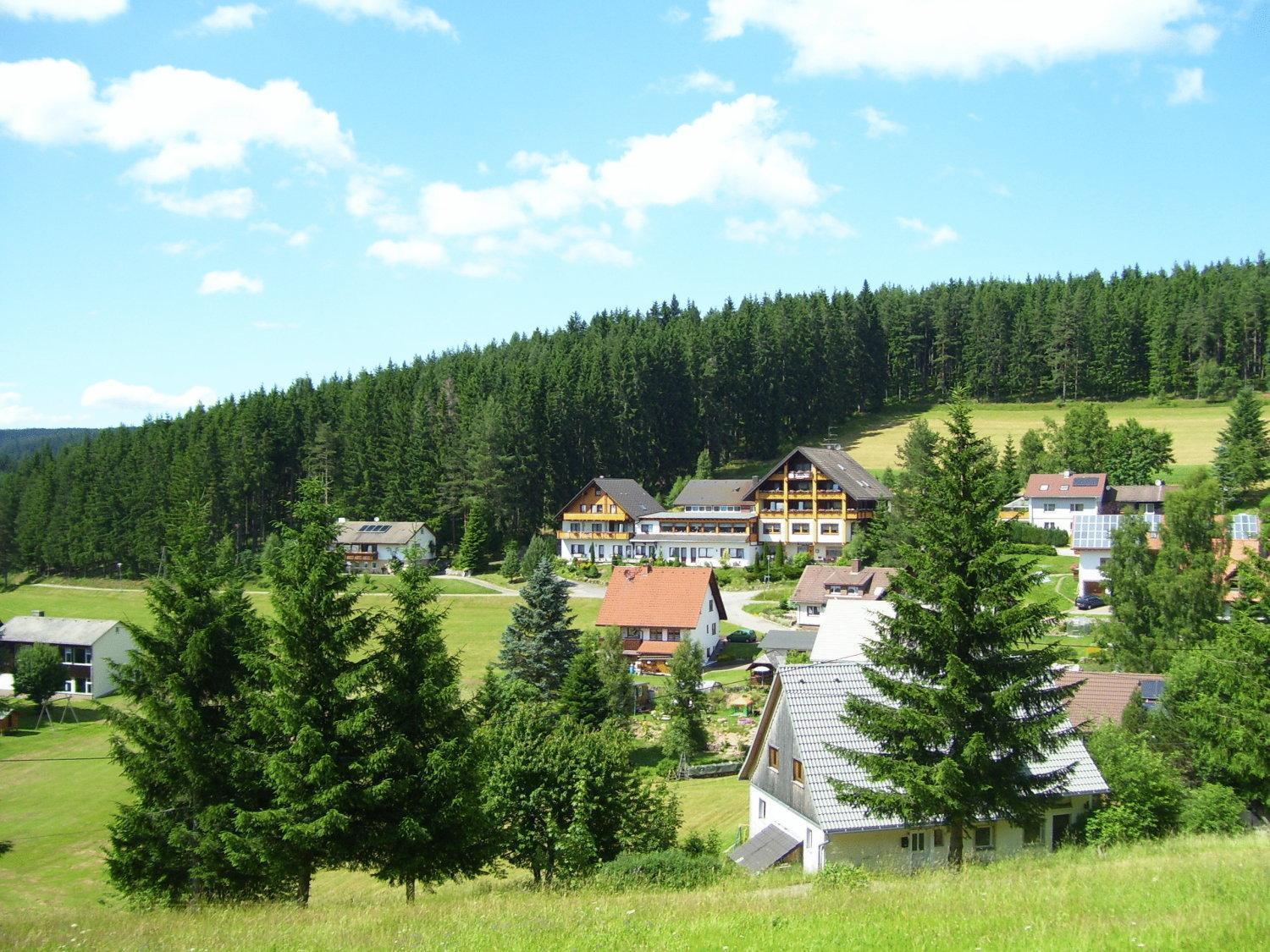 Auerhahn Bed And Breakfast - Black Forest - Waldhotel إيسينباخ المظهر الخارجي الصورة