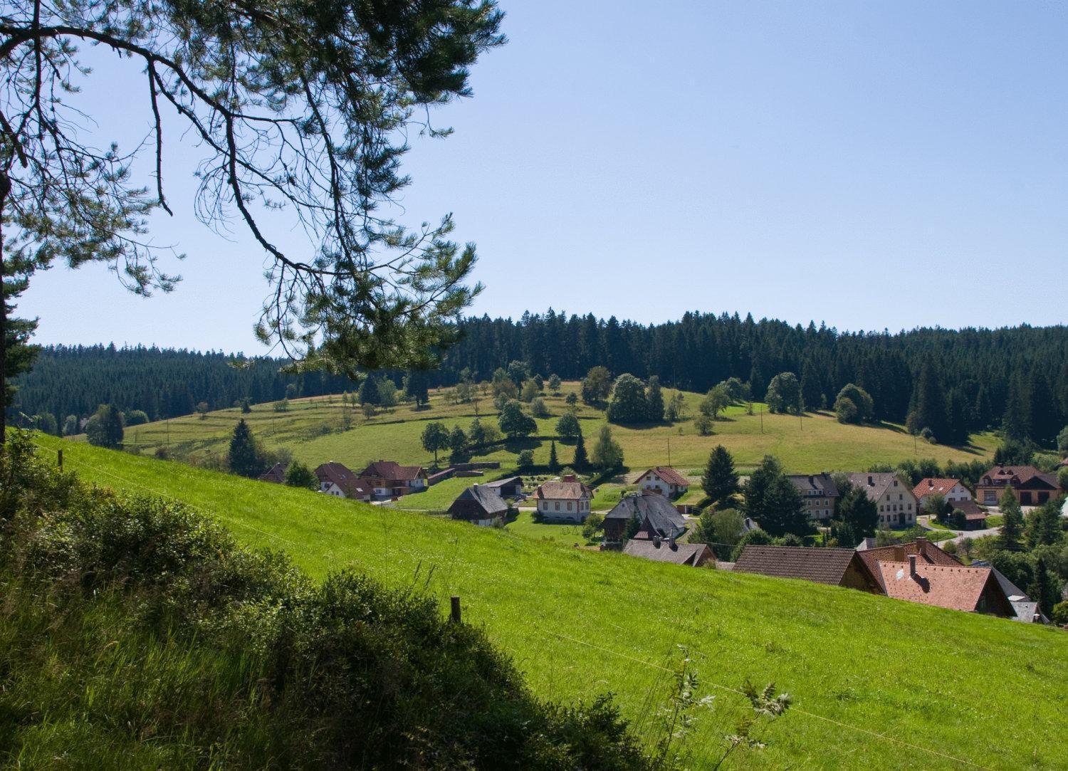 Auerhahn Bed And Breakfast - Black Forest - Waldhotel إيسينباخ المظهر الخارجي الصورة