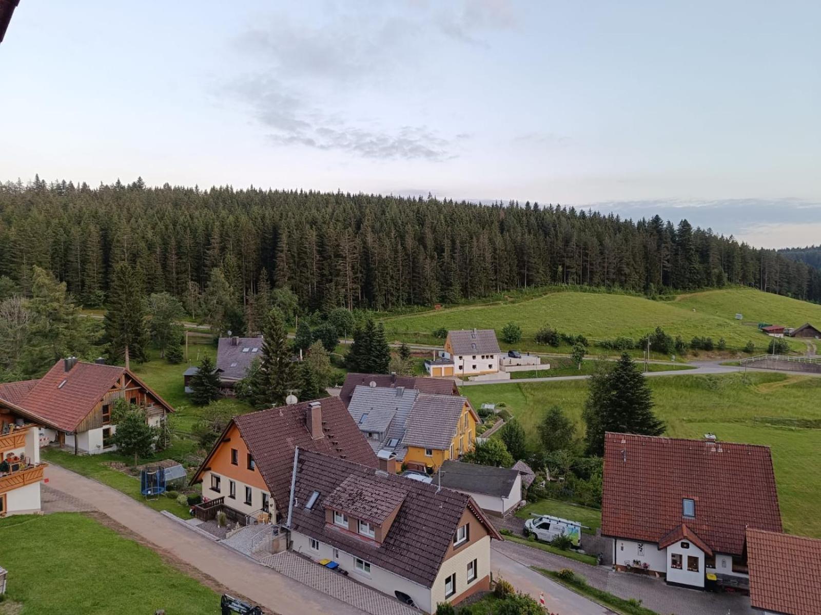 Auerhahn Bed And Breakfast - Black Forest - Waldhotel إيسينباخ المظهر الخارجي الصورة
