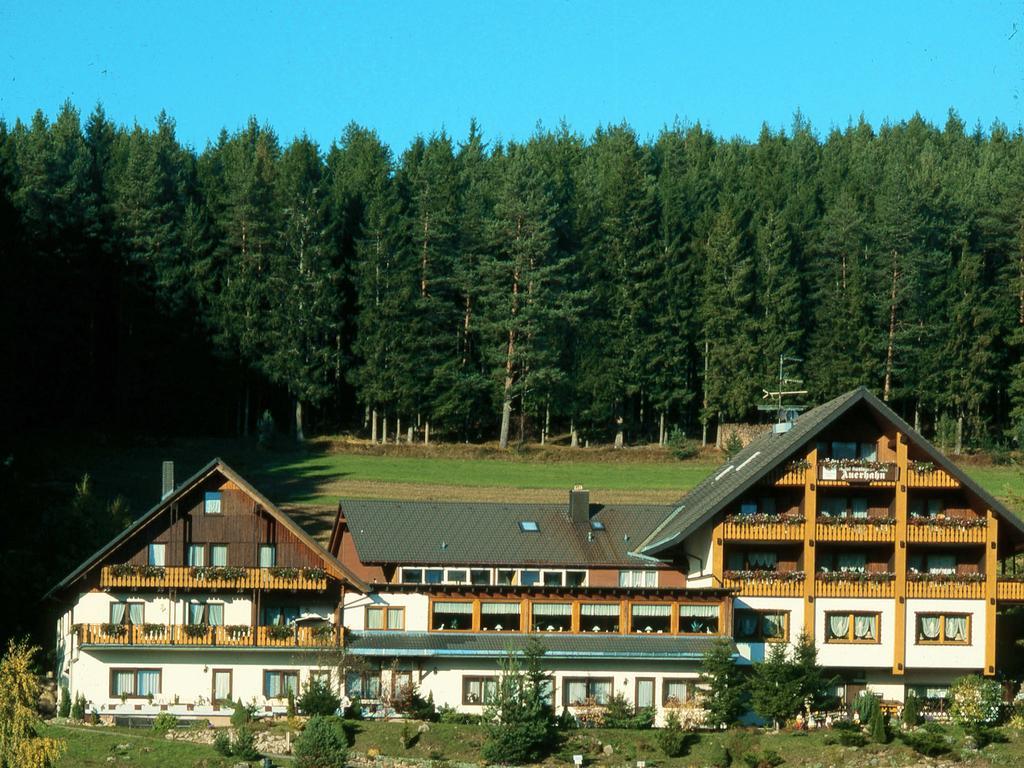 Auerhahn Bed And Breakfast - Black Forest - Waldhotel إيسينباخ المظهر الخارجي الصورة